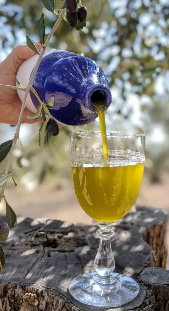 olio extravergine di oliva pugliese nuova produzione masseria papone